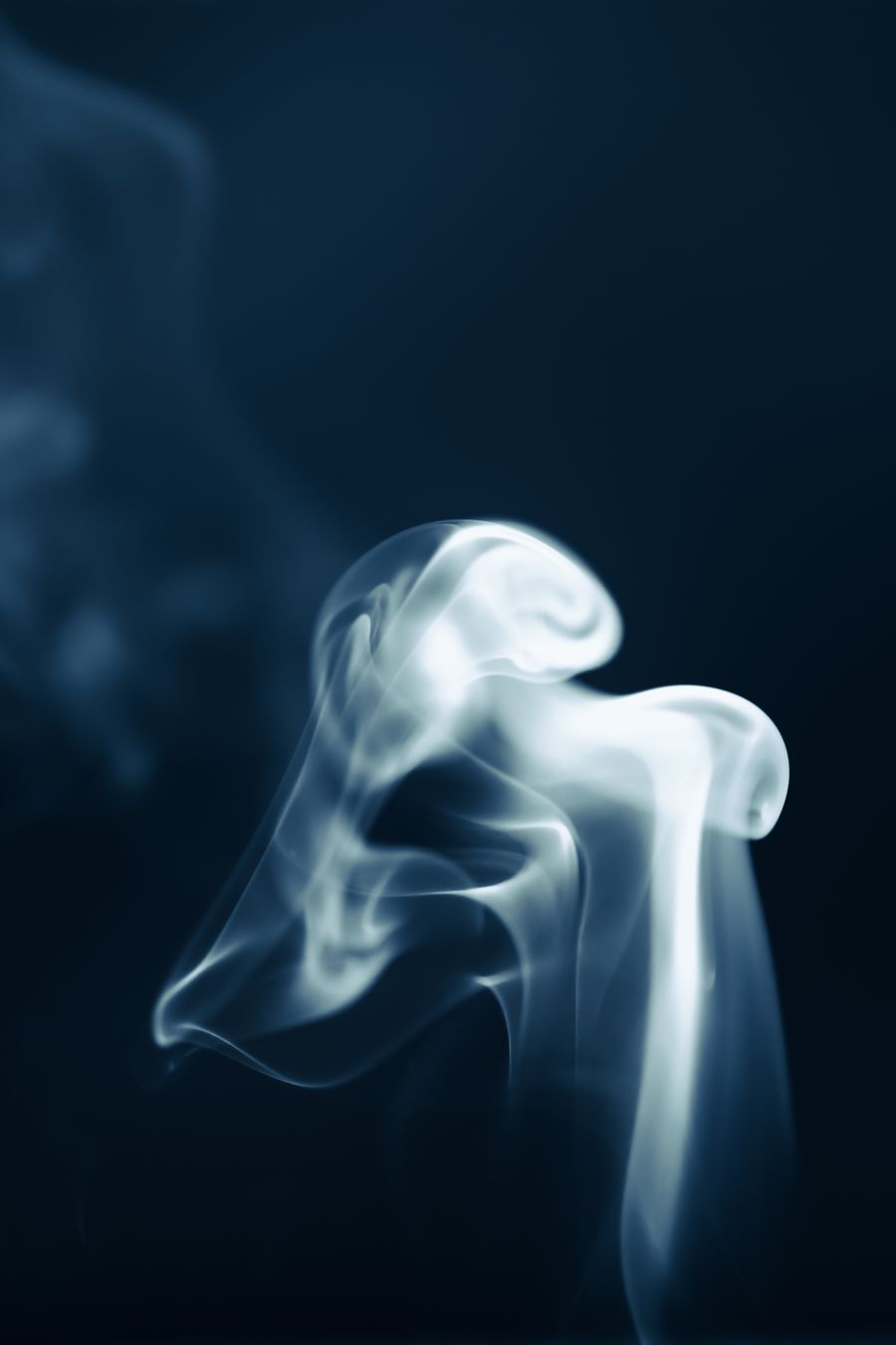 vape bundle